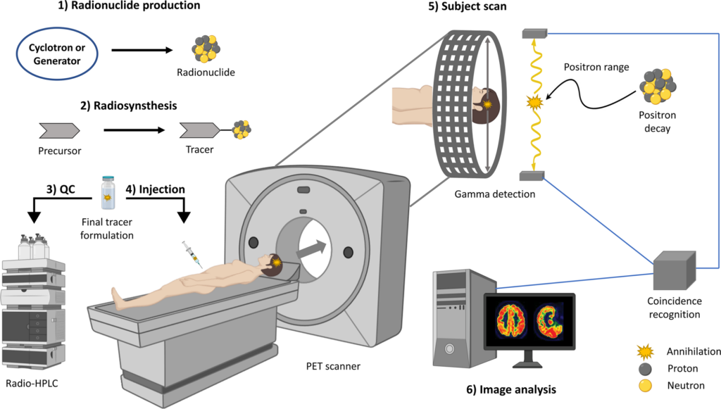 What is the nature of positrons